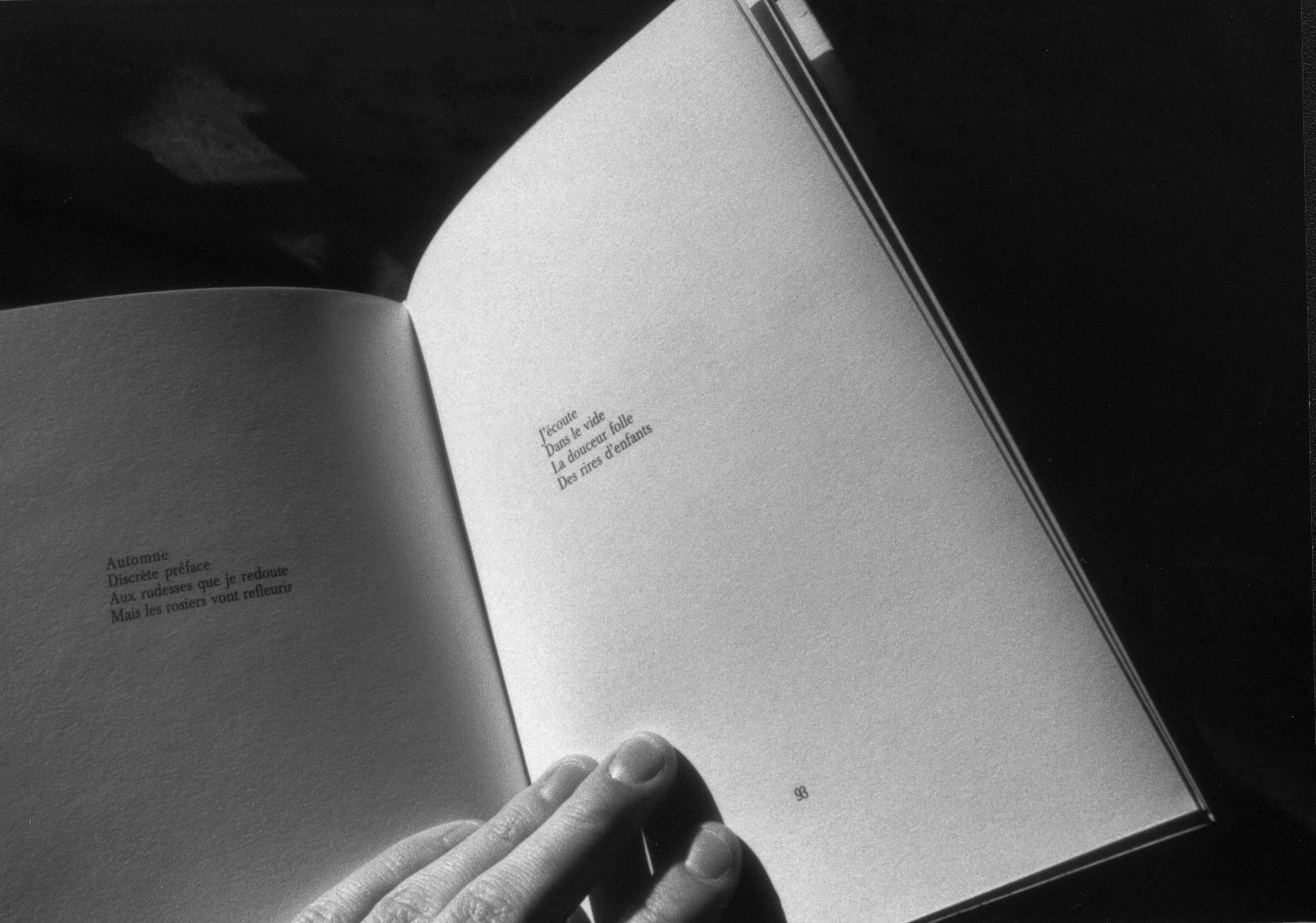 Gadfly at the Festival by Peter Richardson