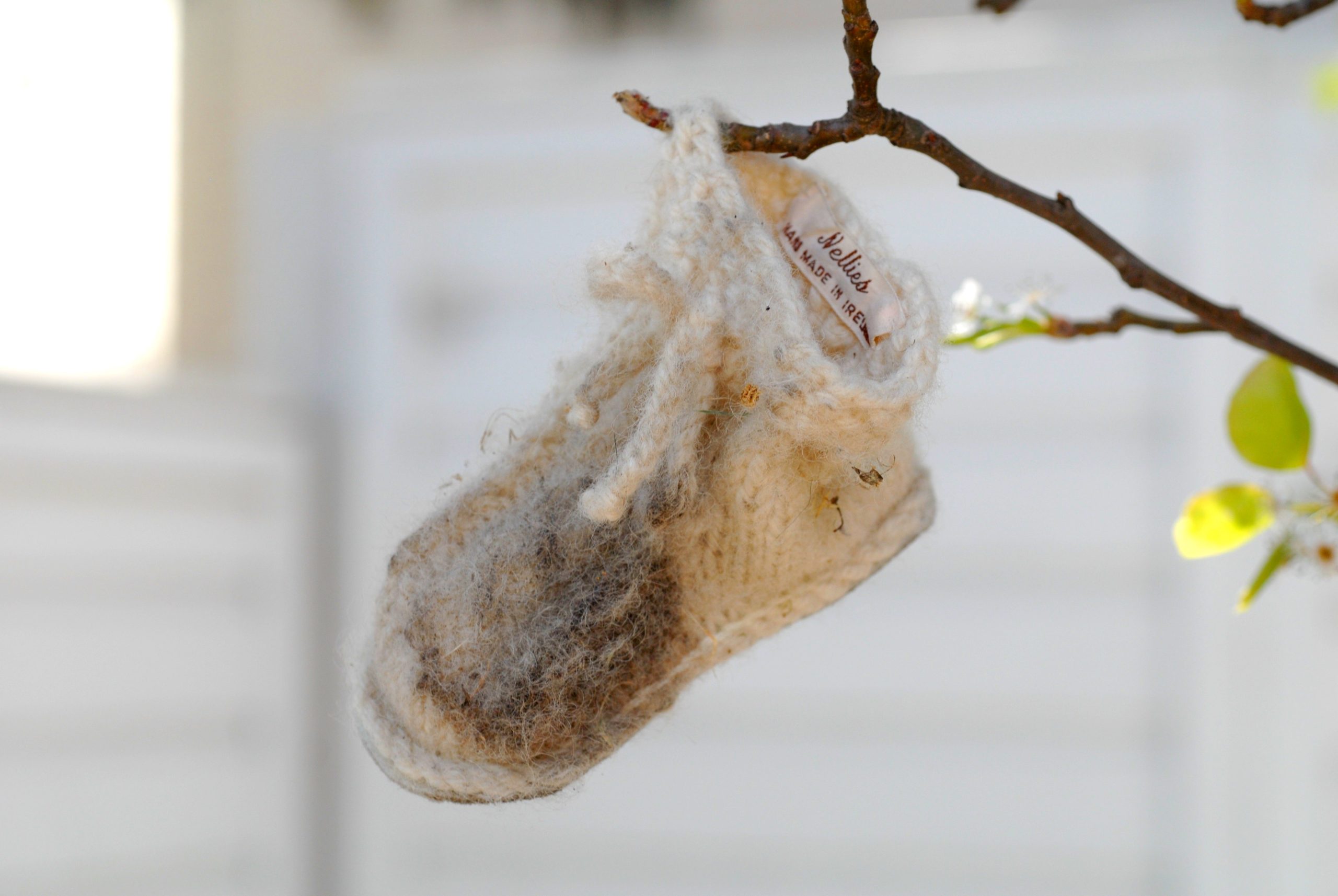 ‘Been good, time to be bad’ by Richard Andrews