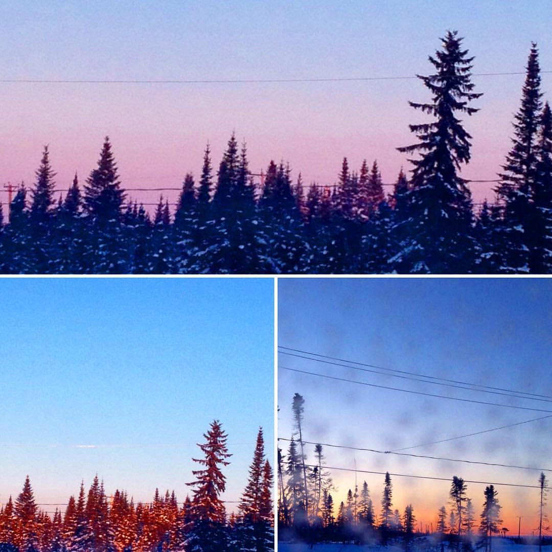 16463091_10154140278245286_1071419733135569396_o