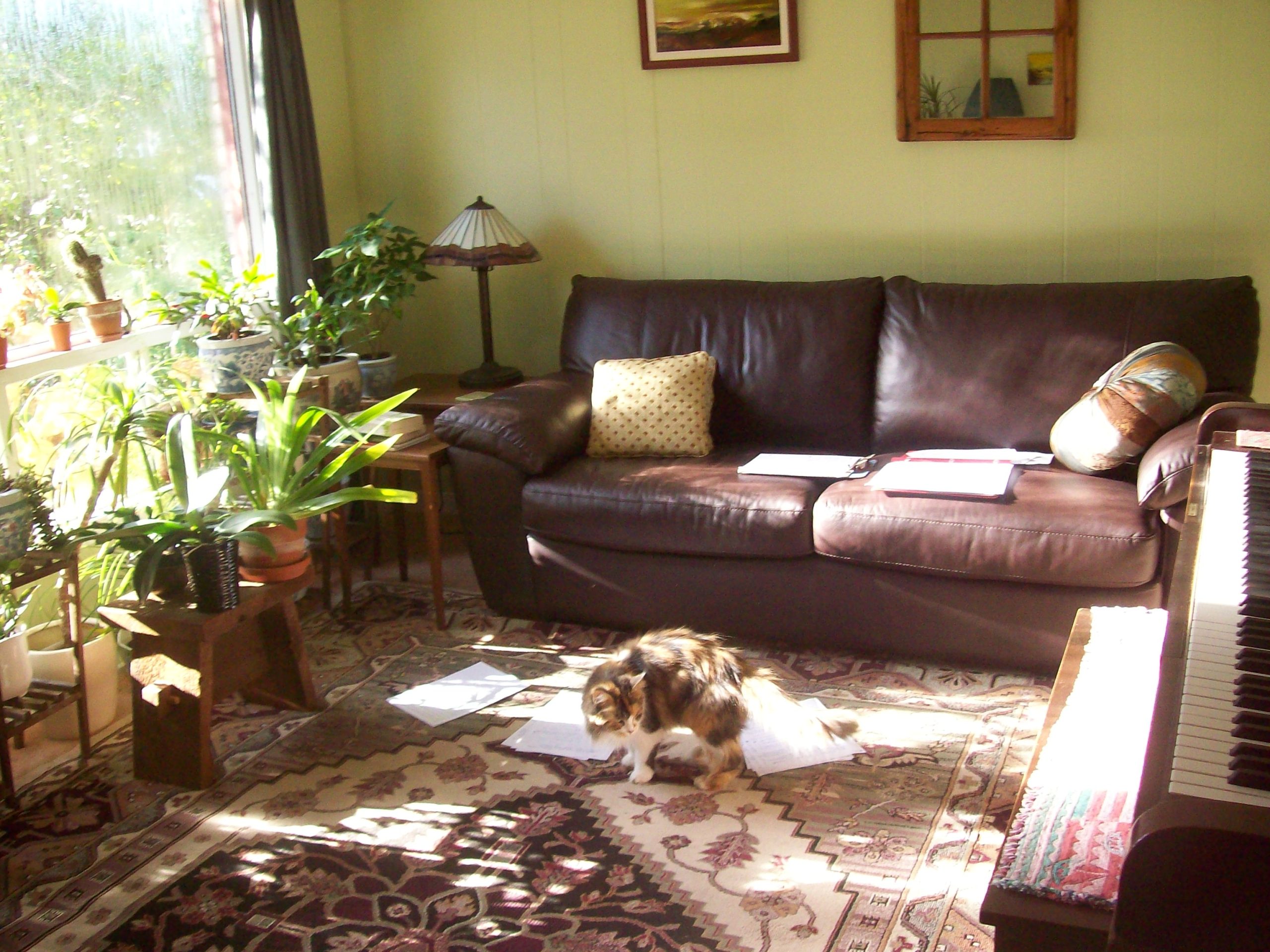 Chronicling the Days – Louise Carson