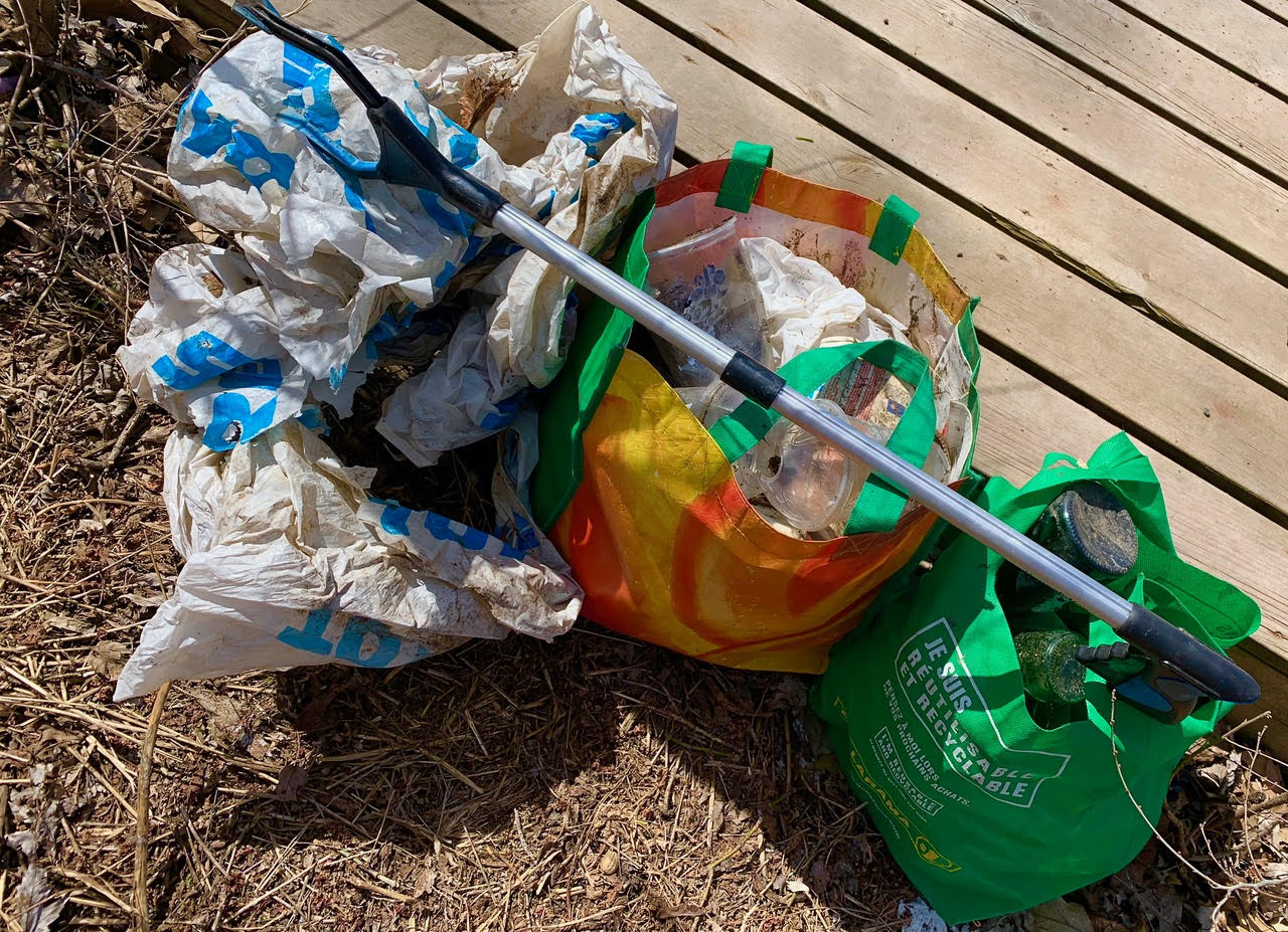 Chronicling the Days – Elisa Robin Wells