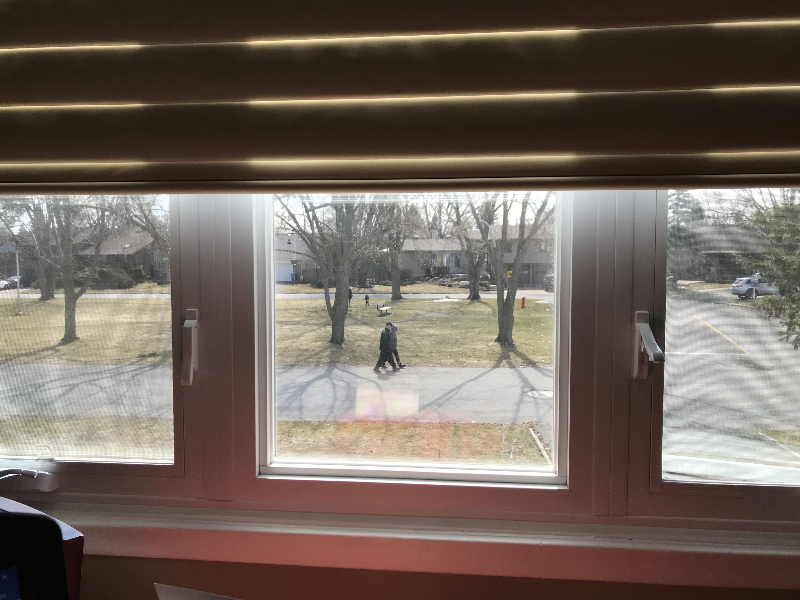 Chronicling the Days – Wendy Reichental