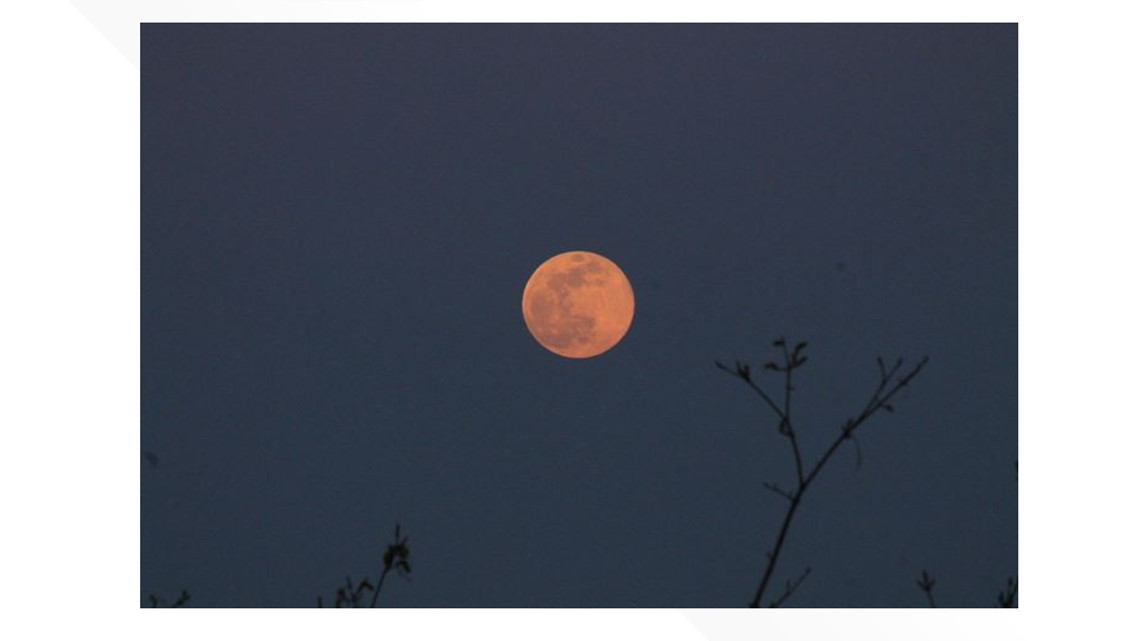 Chronicling the Days – Alison Piper