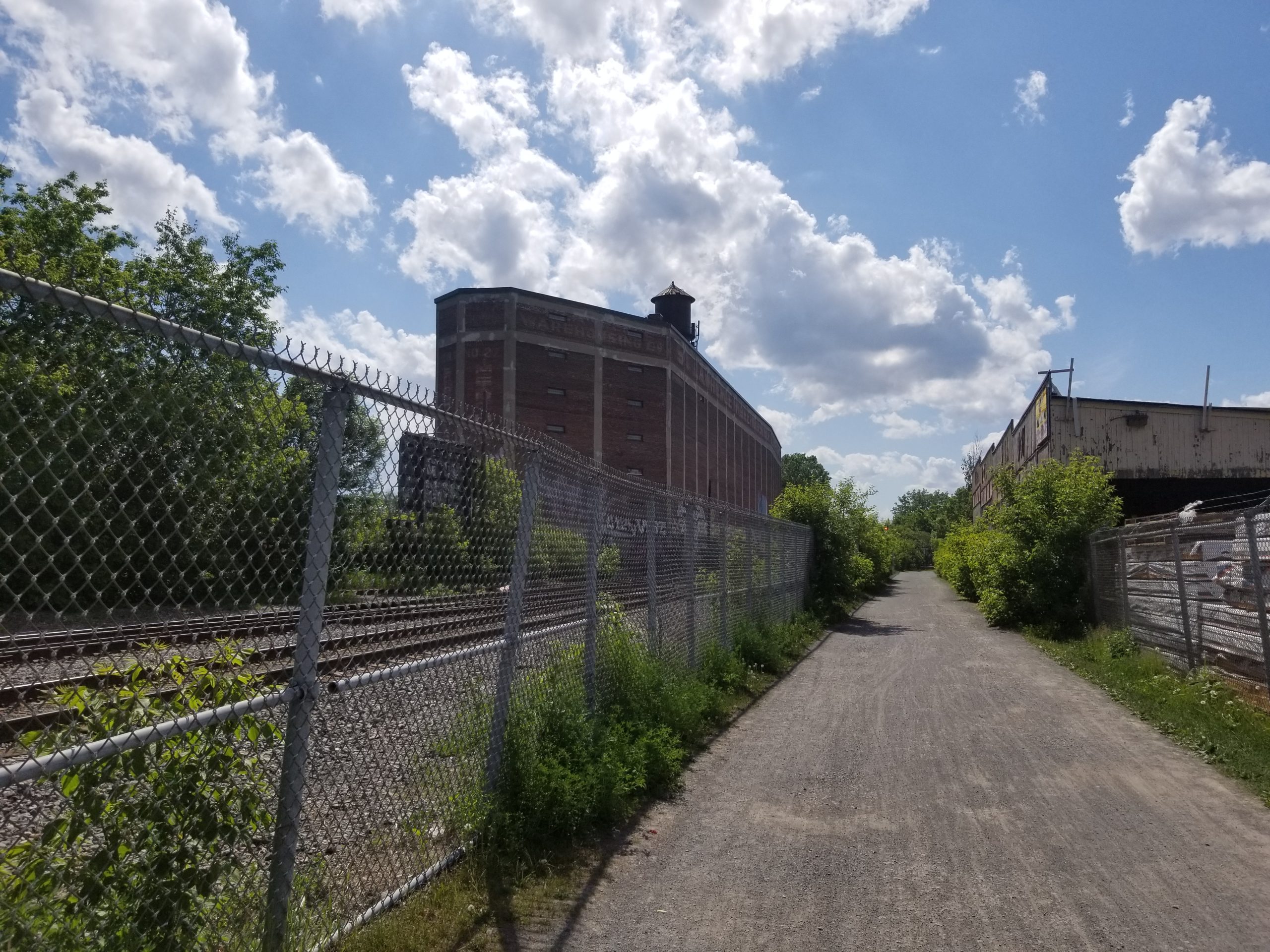 A Body Divided—By Joe Bongiorno