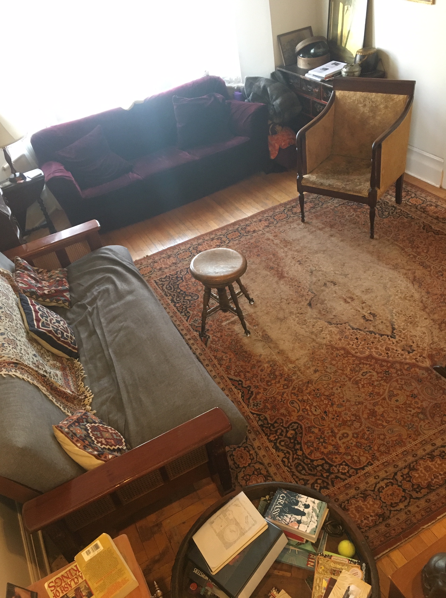 The View From My Living Room—By Ariela Freedman