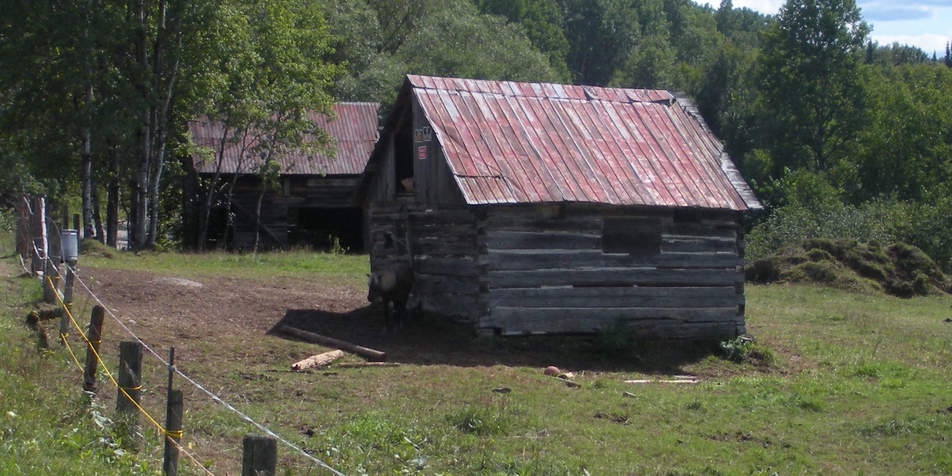 How Podcasting Took Over My Life—By Catherine Austen