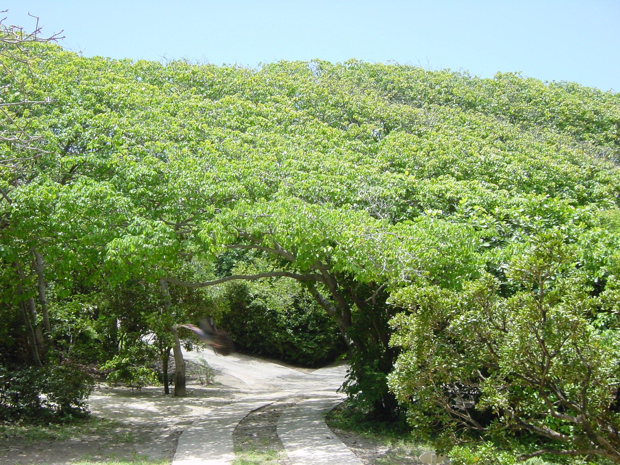 Pushing Past the Fear of Writing Nonfiction—By Chanel M. Sutherland